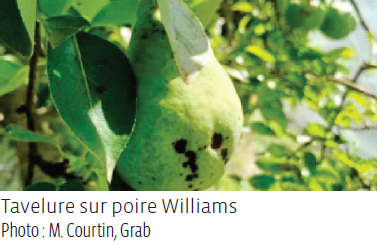 LE GRAB ET L’INRAE
