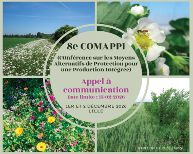 COMAPPI - APPEL À COMMUNICATION