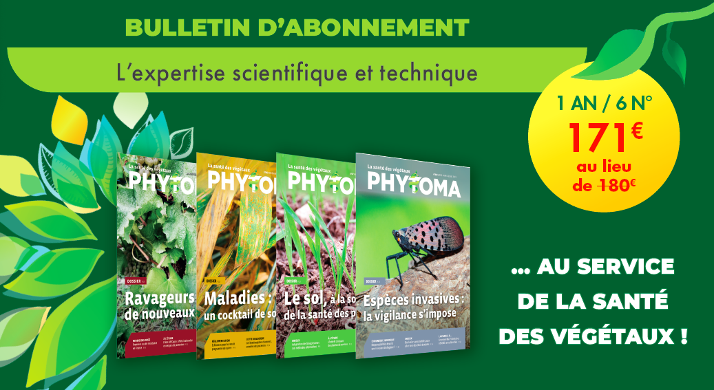 bulletin abonnement new A4