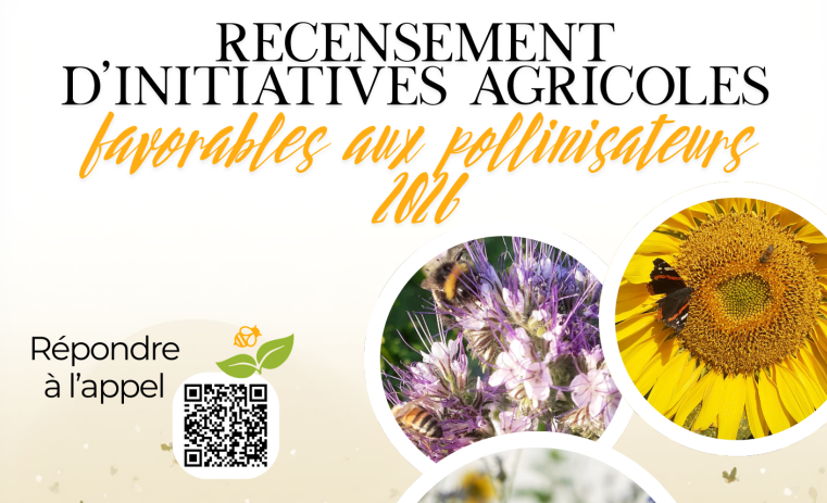 [RECENSEMENT] – Ensemble essaimons les solutions agricoles pour les pollinisateurs