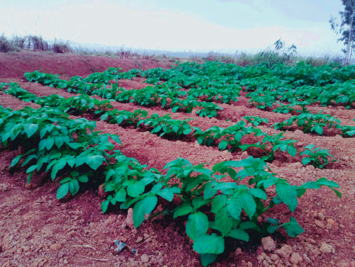 FONDATION FARM2026 03