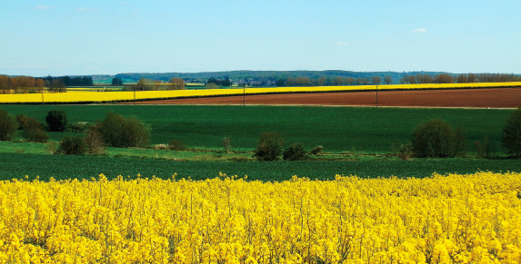 Garantir les récoltes pour accélérer la transition agroécologique