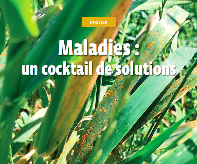 PhytomaDossier786