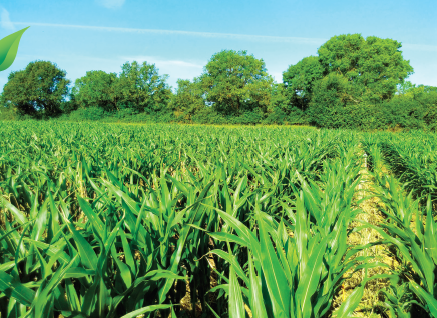 PERFORMANCE AGRICOLE - Six indicateurs pour intégrer la biodiversité