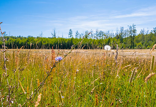 Écophyto 2030 : appel à projets captages-Natura 2000